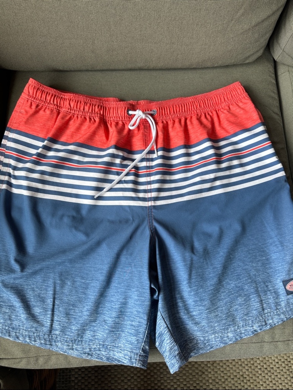 Vineyard Vines Blue Striped swim Shorts
